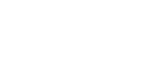 DWSyntellicore