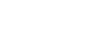 AMF GLOBAL LTD