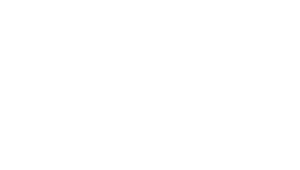 STARNET LLC