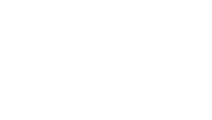 Financial Dealers