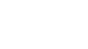 Payine