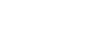 VoiceSpin
