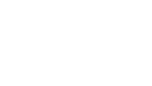 BDSwiss